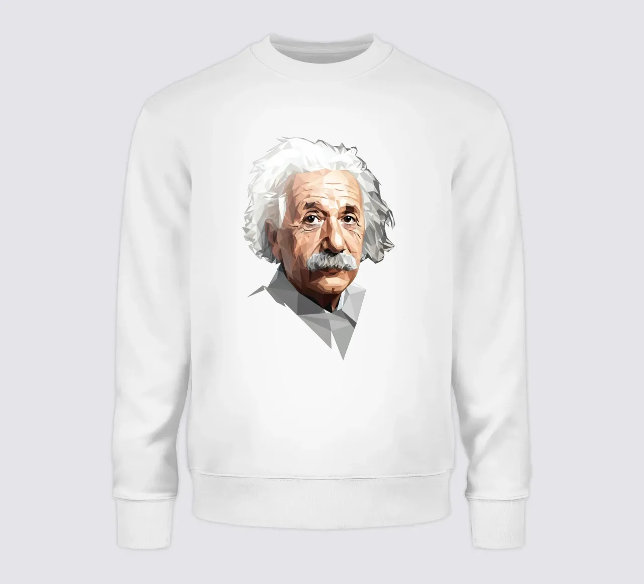 Albert Einstein Lowpoly felpa da Low Profile