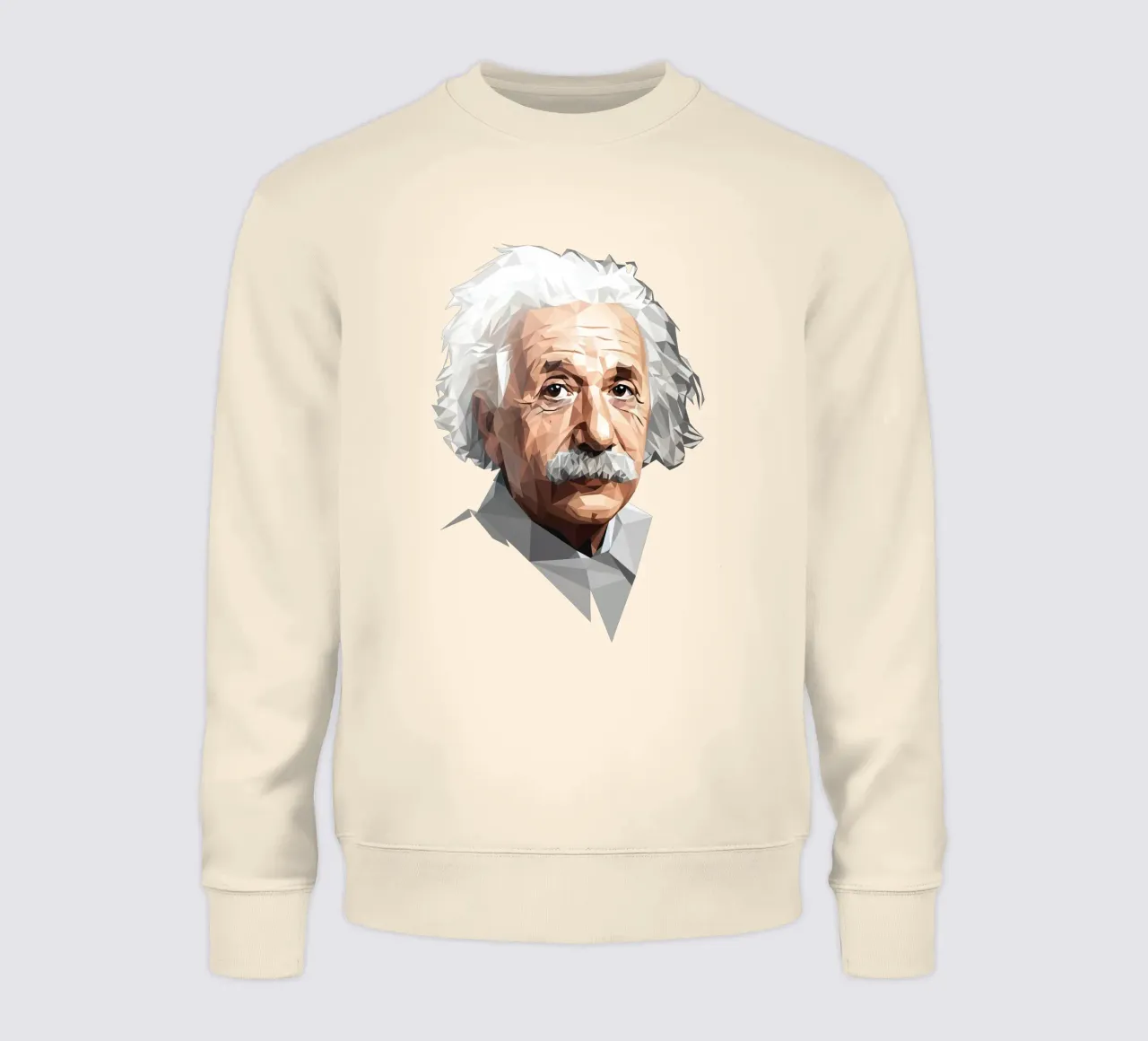 Albert Einstein Lowpoly felpa da Low Profile