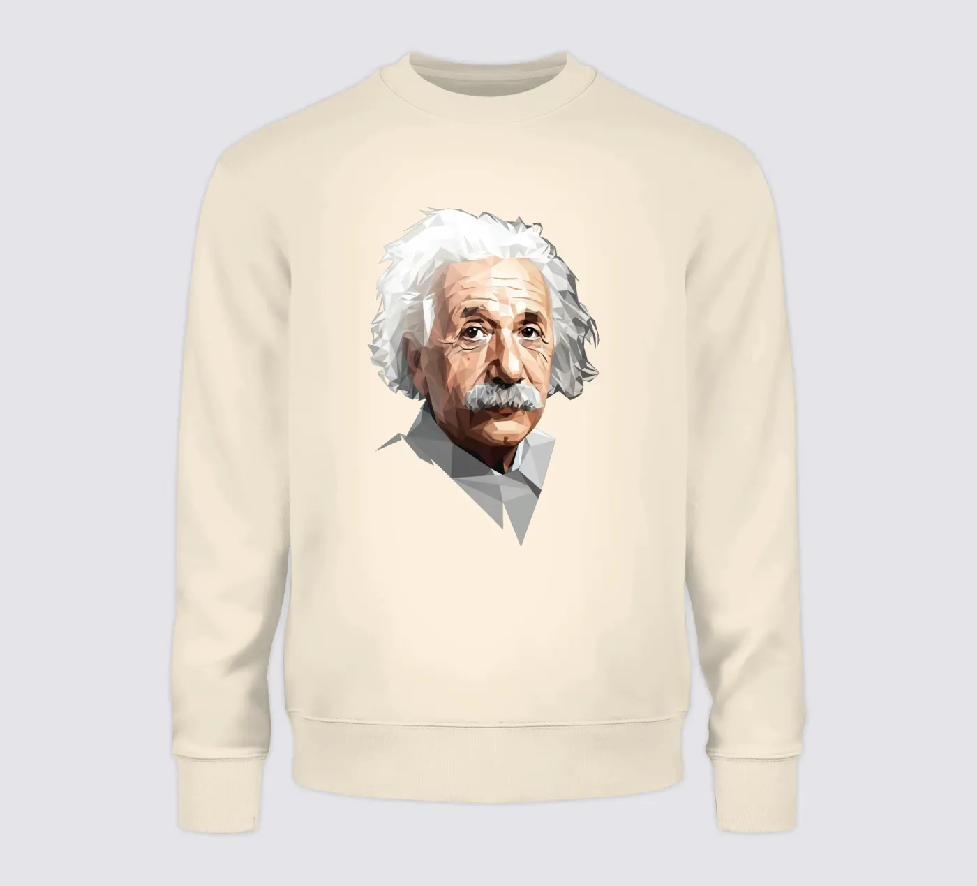 Albert Einstein Lowpoly felpa da Low Profile