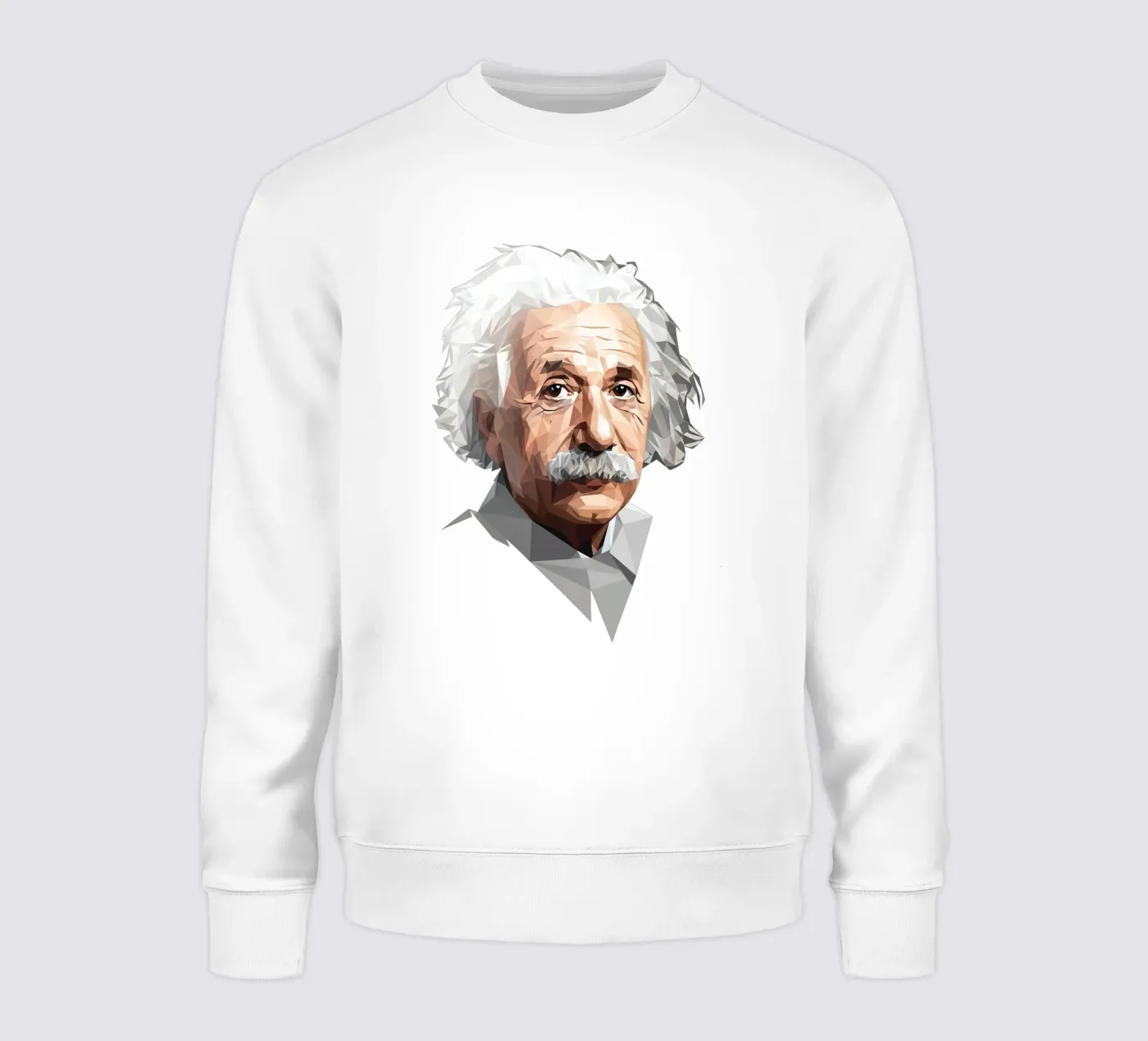 Albert Einstein Lowpoly felpa da Low Profile