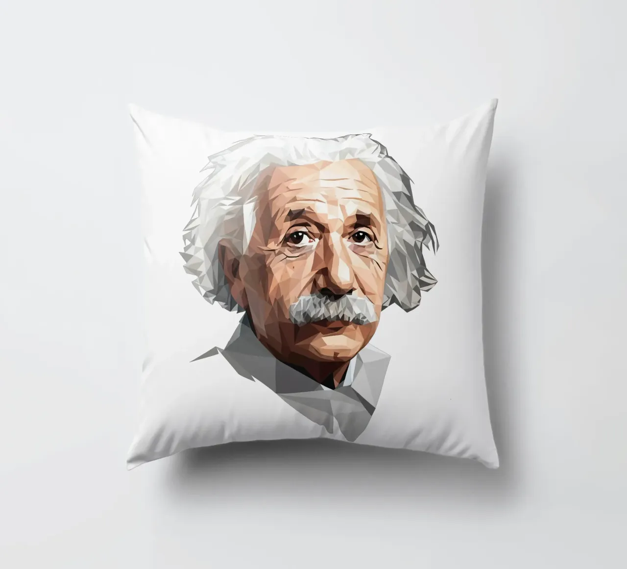 Albert Einstein Lowpoly cuscino da Low Profile
