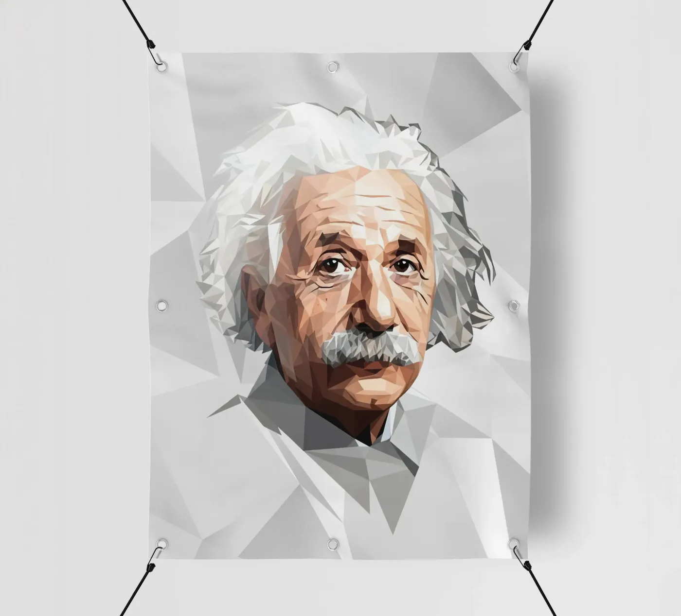 Albert Einstein Lowpoly telo in pvc da Low Profile