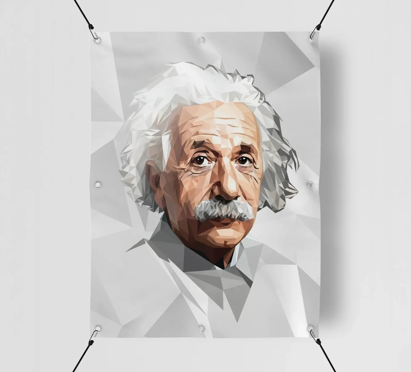 Albert Einstein Lowpoly telo in pvc da Low Profile