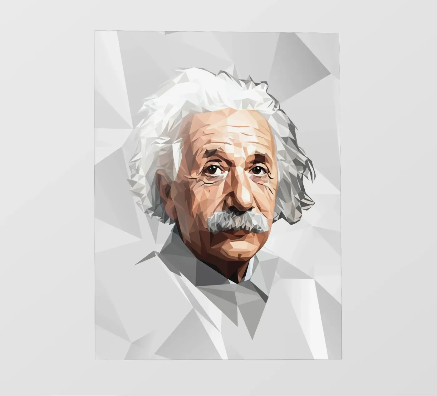 Albert Einstein Lowpoly telo in pvc da Low Profile