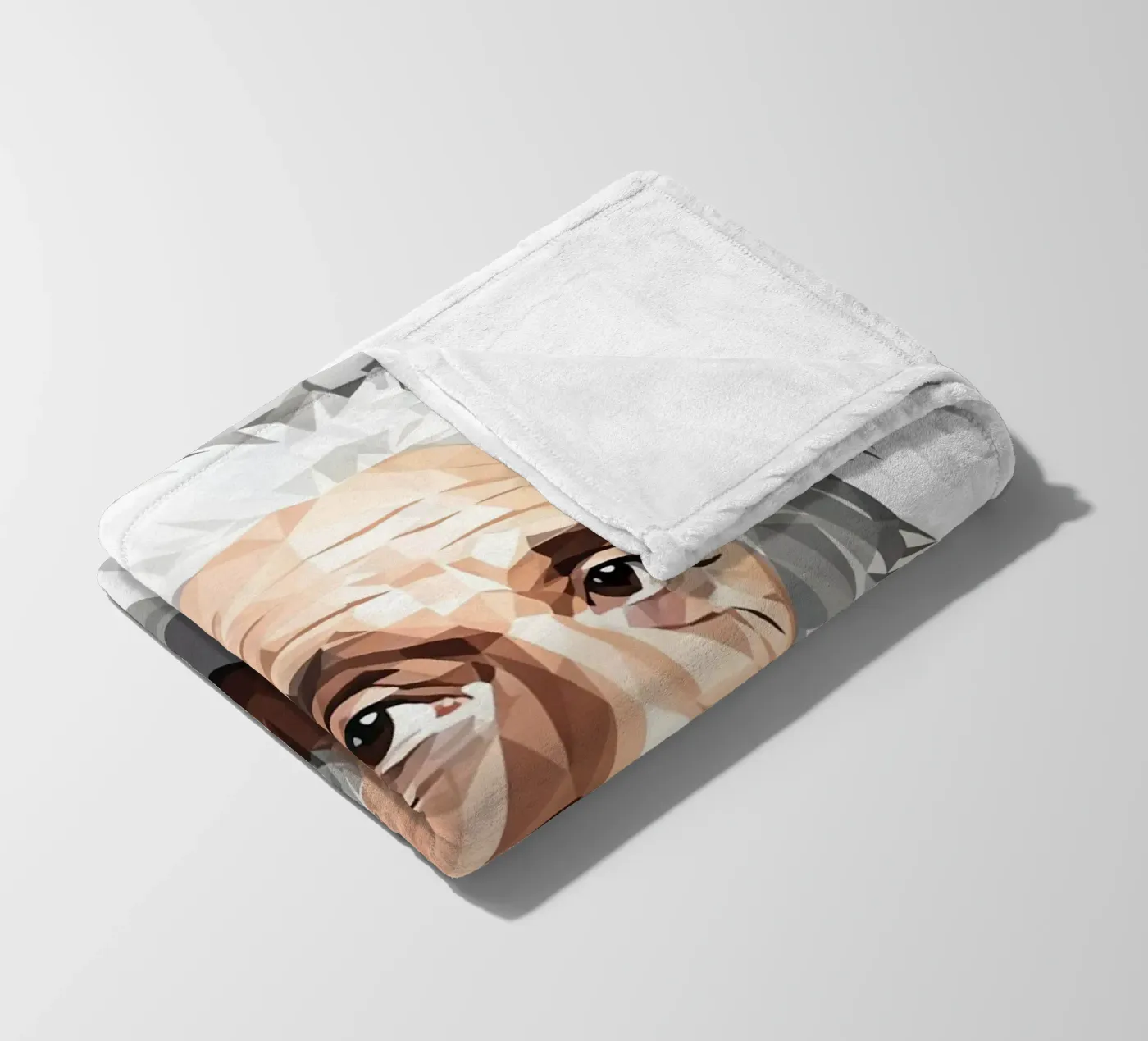 Albert Einstein Lowpoly Fleecedecke von Low Profile