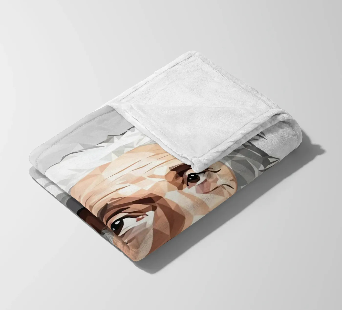 Albert Einstein Lowpoly Fleecedecke von Low Profile