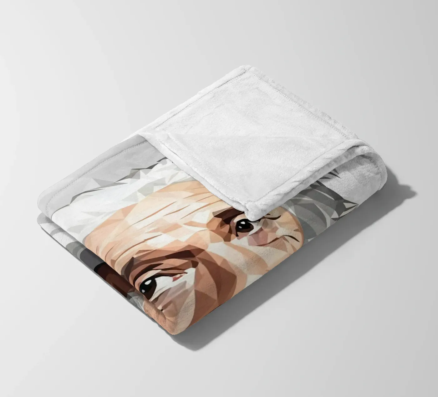 Albert Einstein Lowpoly Fleecedecke von Low Profile