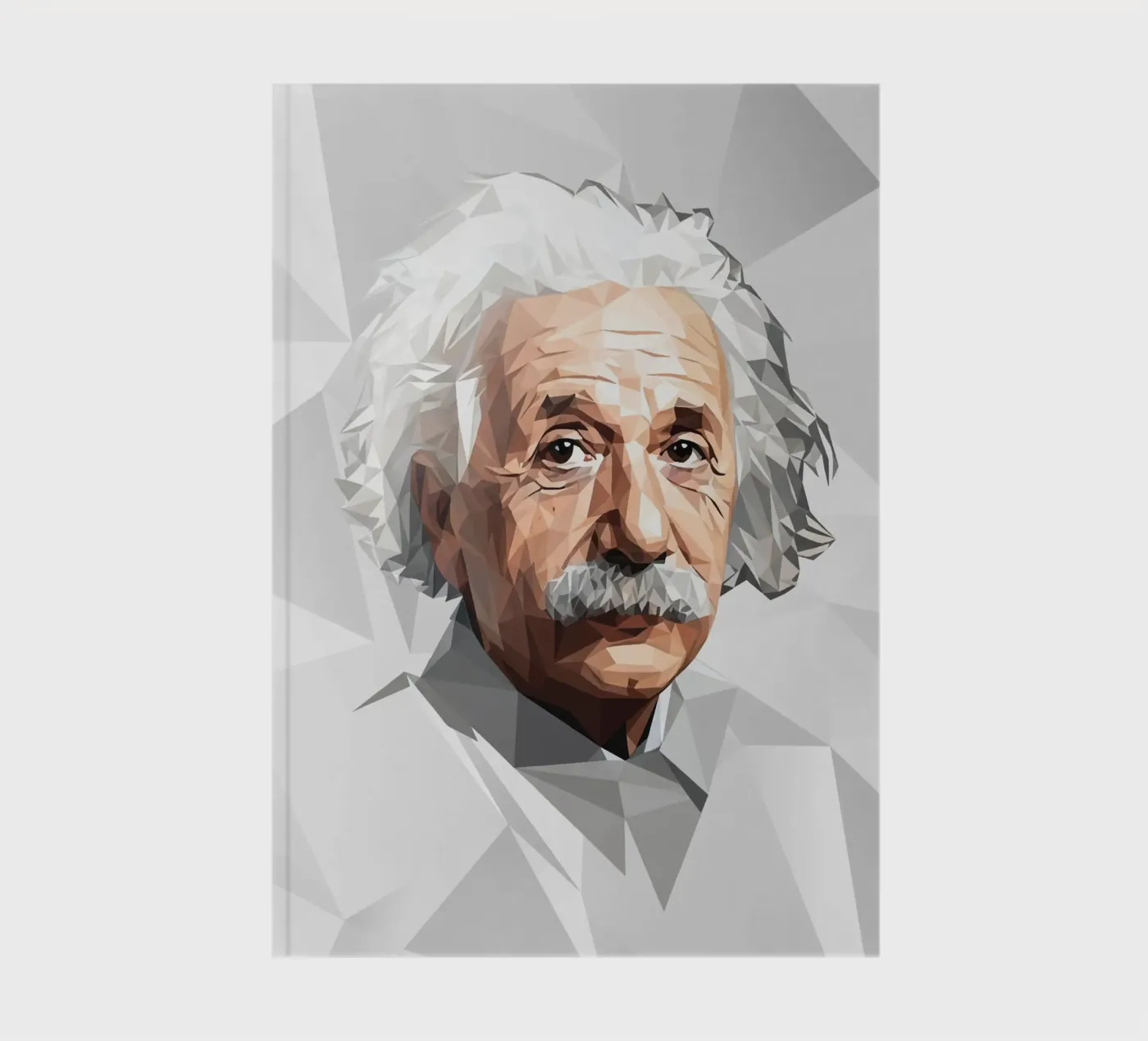 Albert Einstein Lowpoly notebook by Low Profile