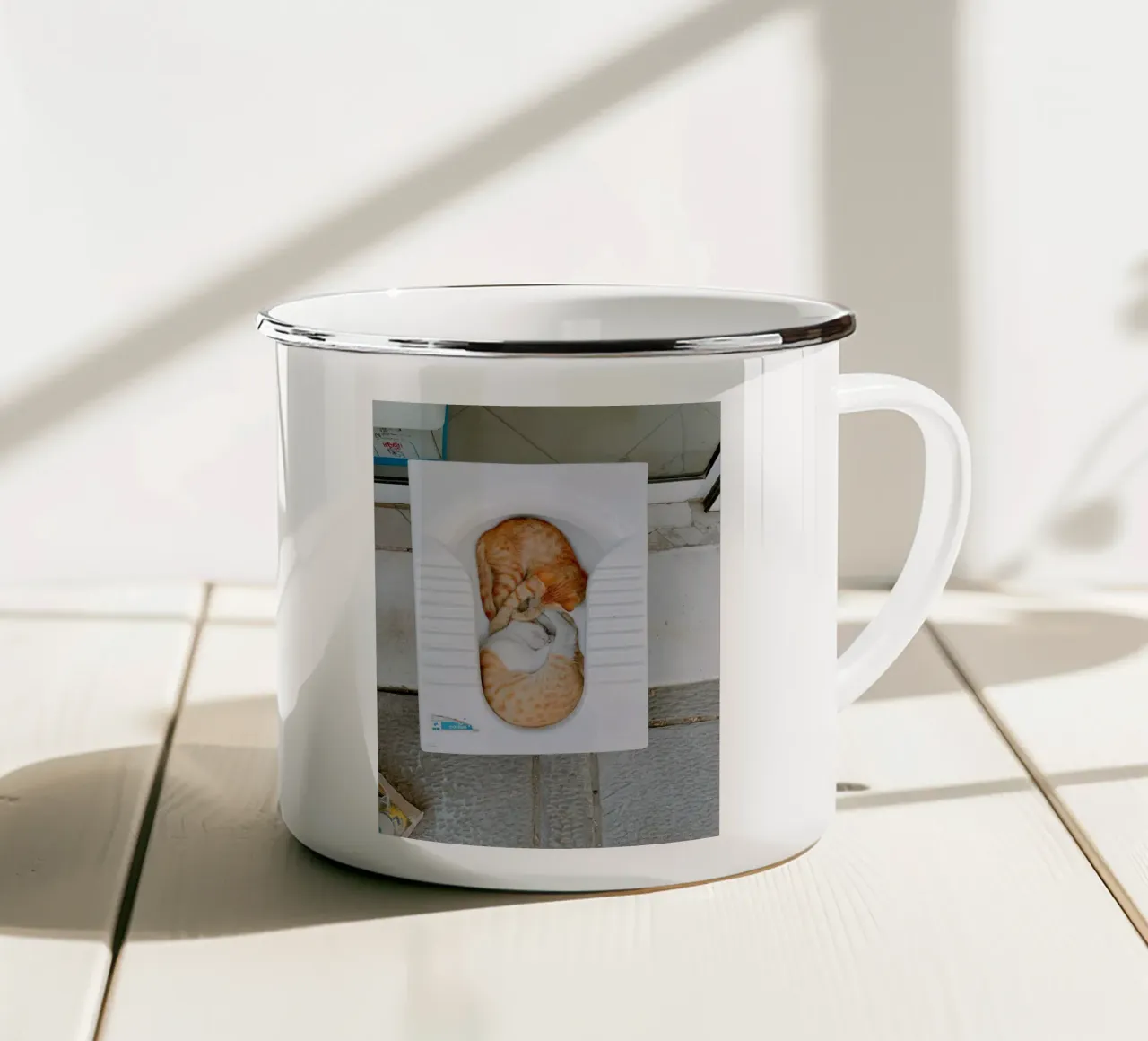 cats play in toilet tazza in smalto da comura