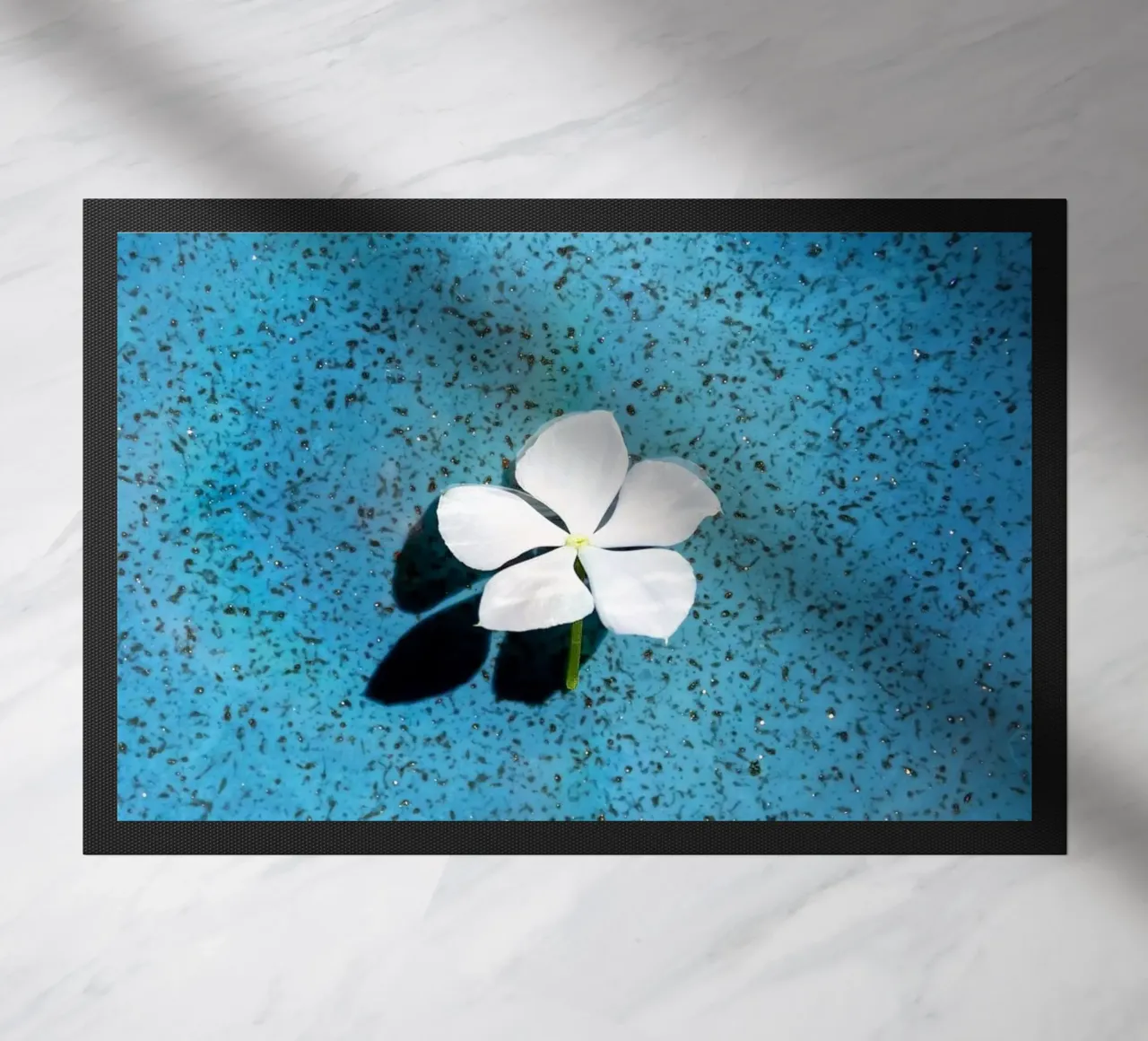 Flora 7 zerbino da rafael campezato