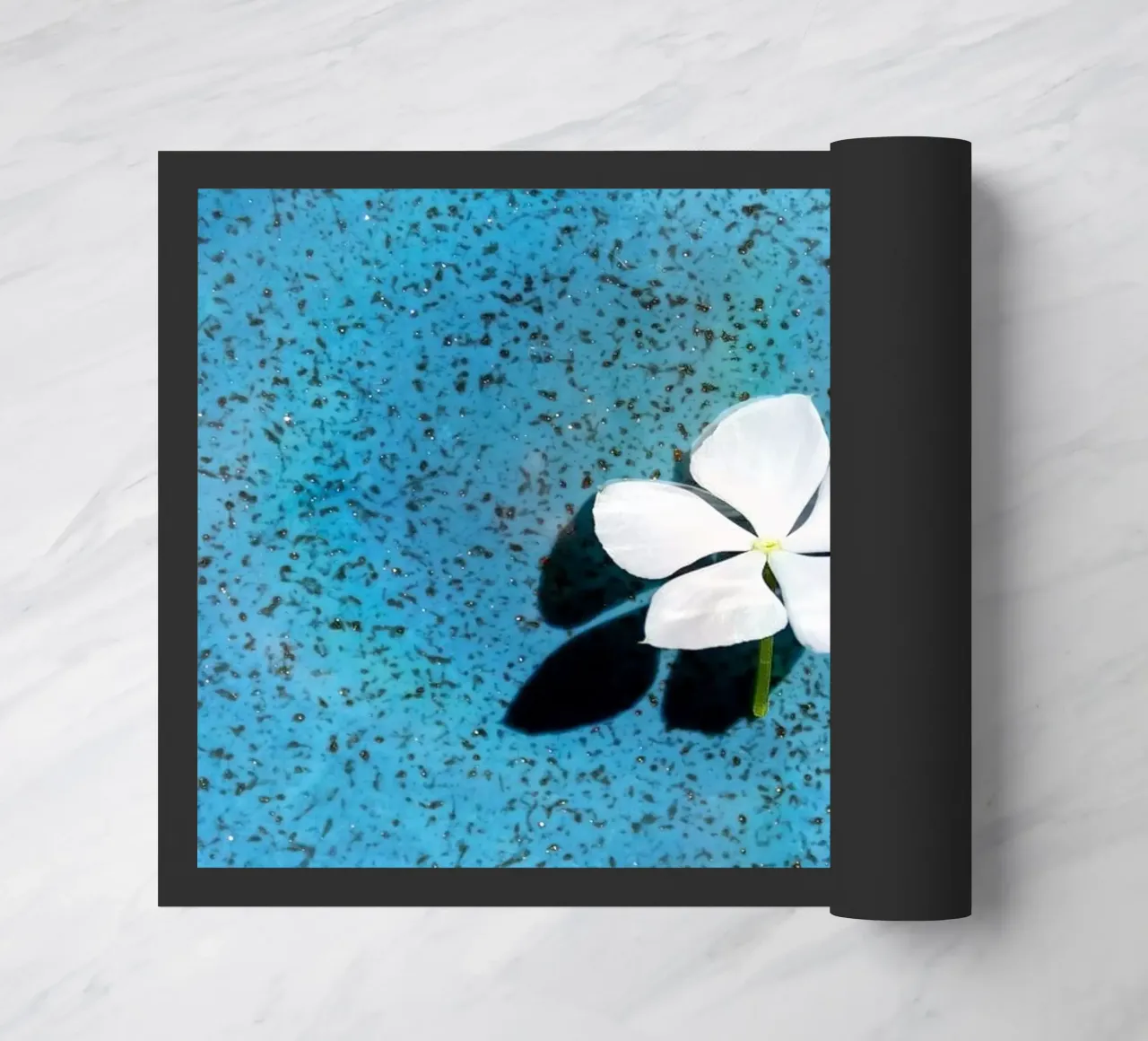 Flora 7 zerbino da rafael campezato