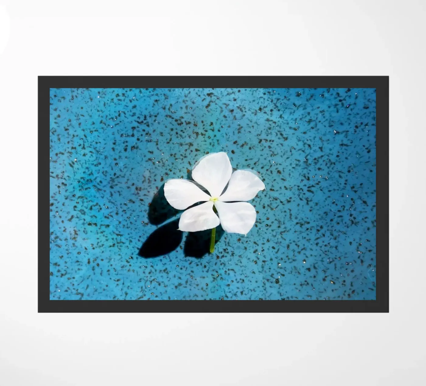 Flora 7 deurmat van rafael campezato