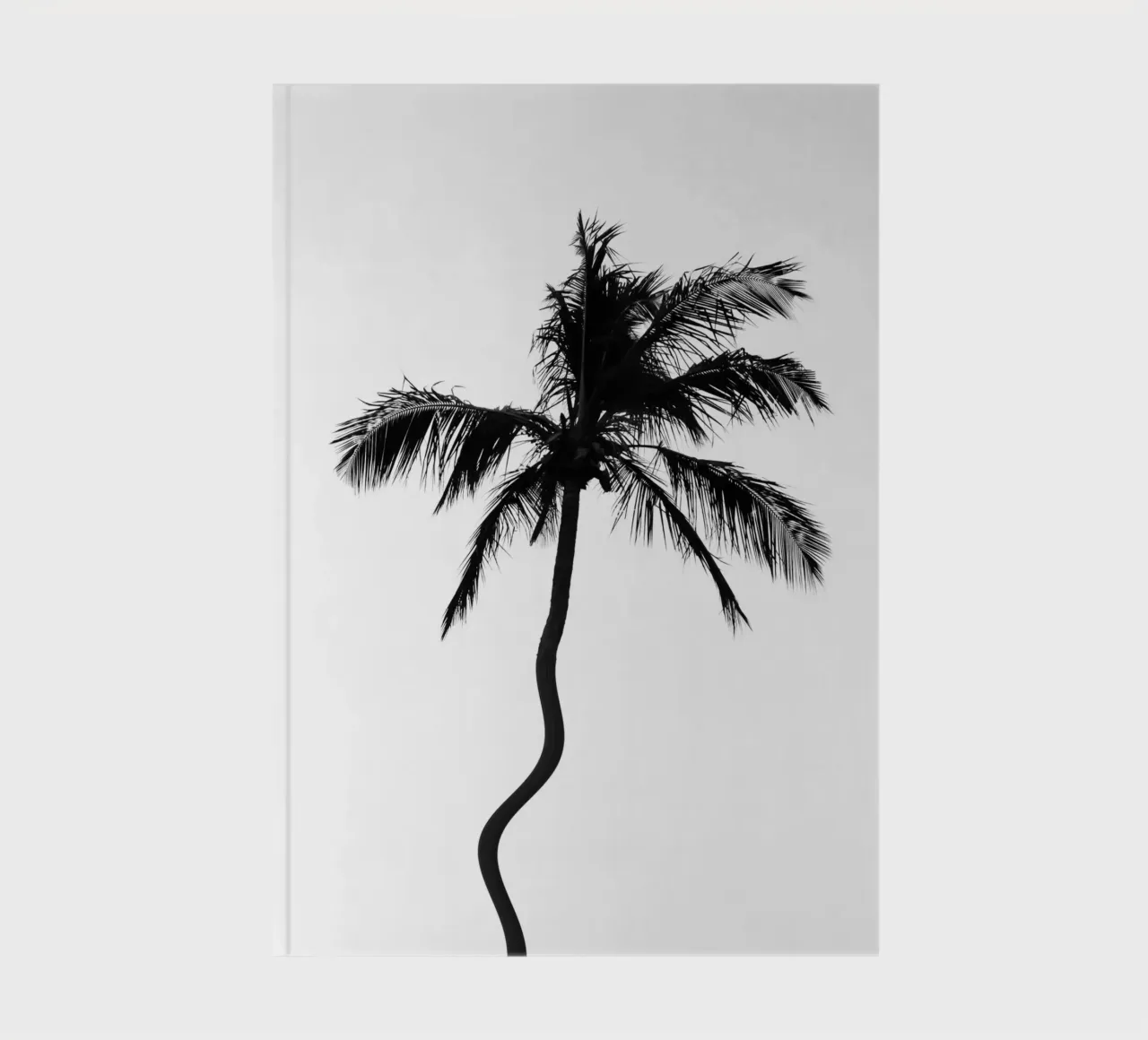 Tropical notebook by rafael campezato