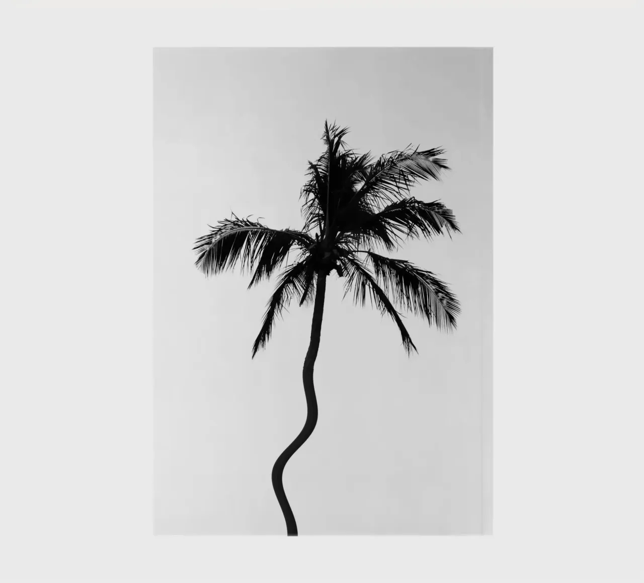 Tropical notebook by rafael campezato