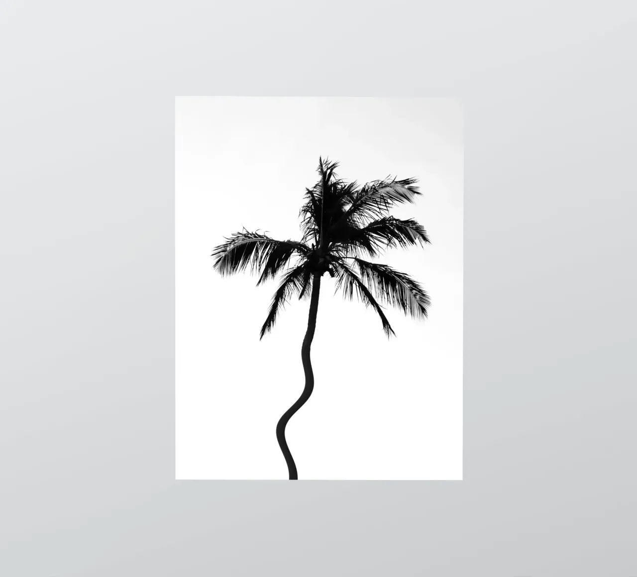 Tropical sticker by rafael campezato