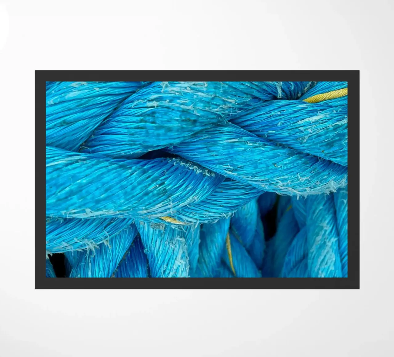 Blaue Taue zerbino da Petra Fotografica