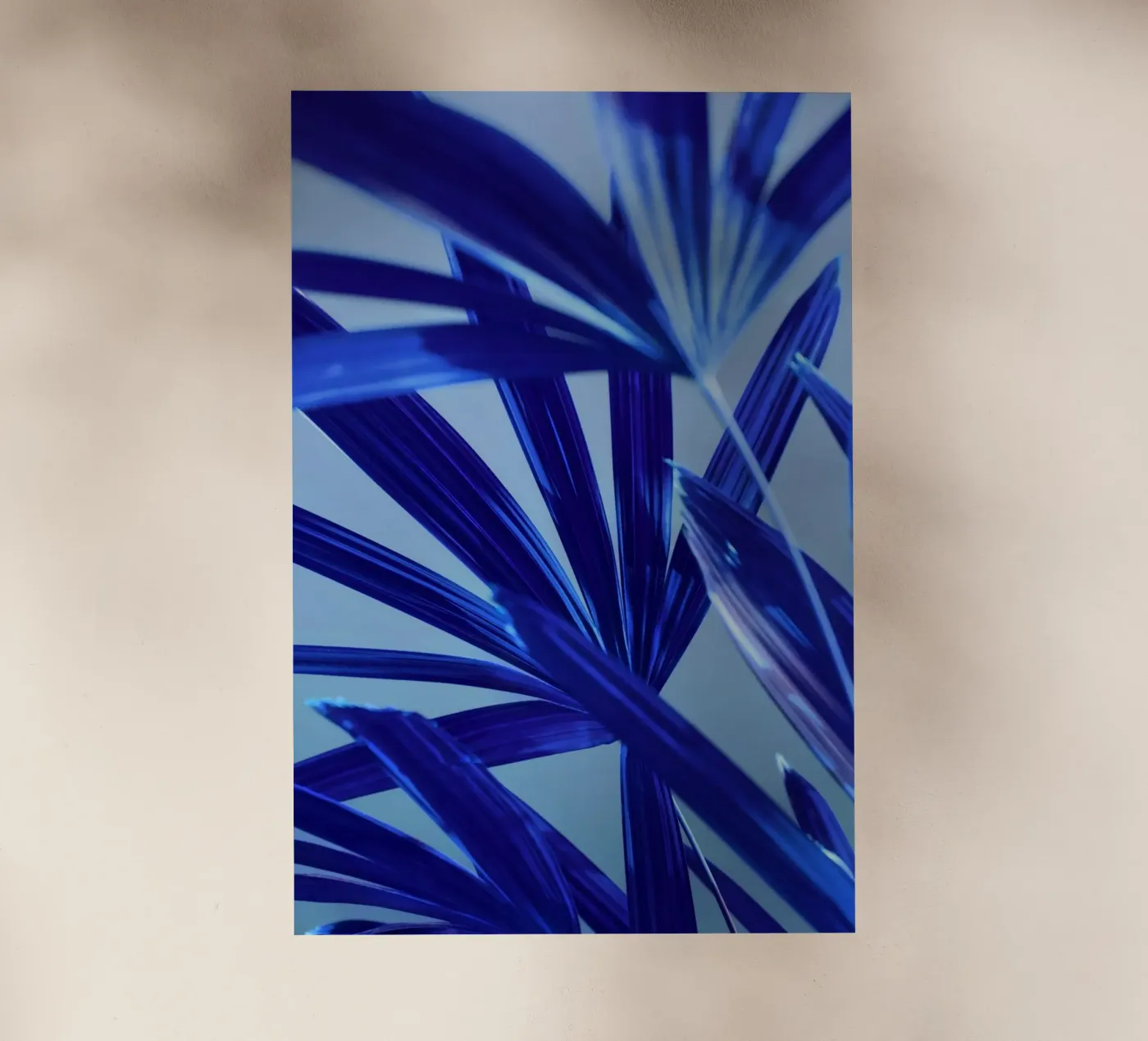 Flora 8 pellicola backlit da rafael campezato