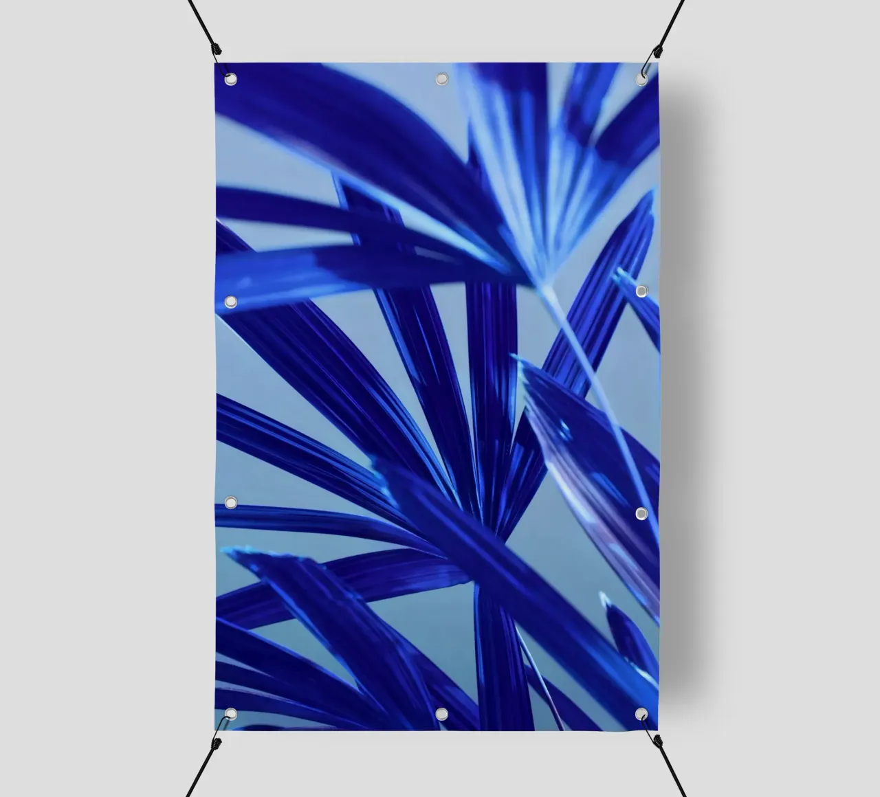 Flora 8 telo in pvc da rafael campezato