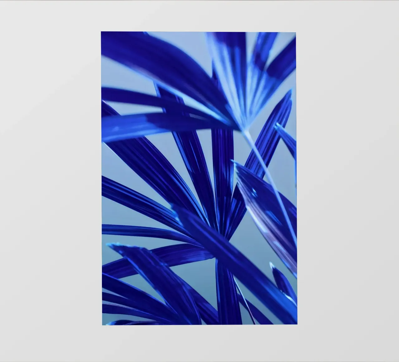 Flora 8 telo in pvc da rafael campezato