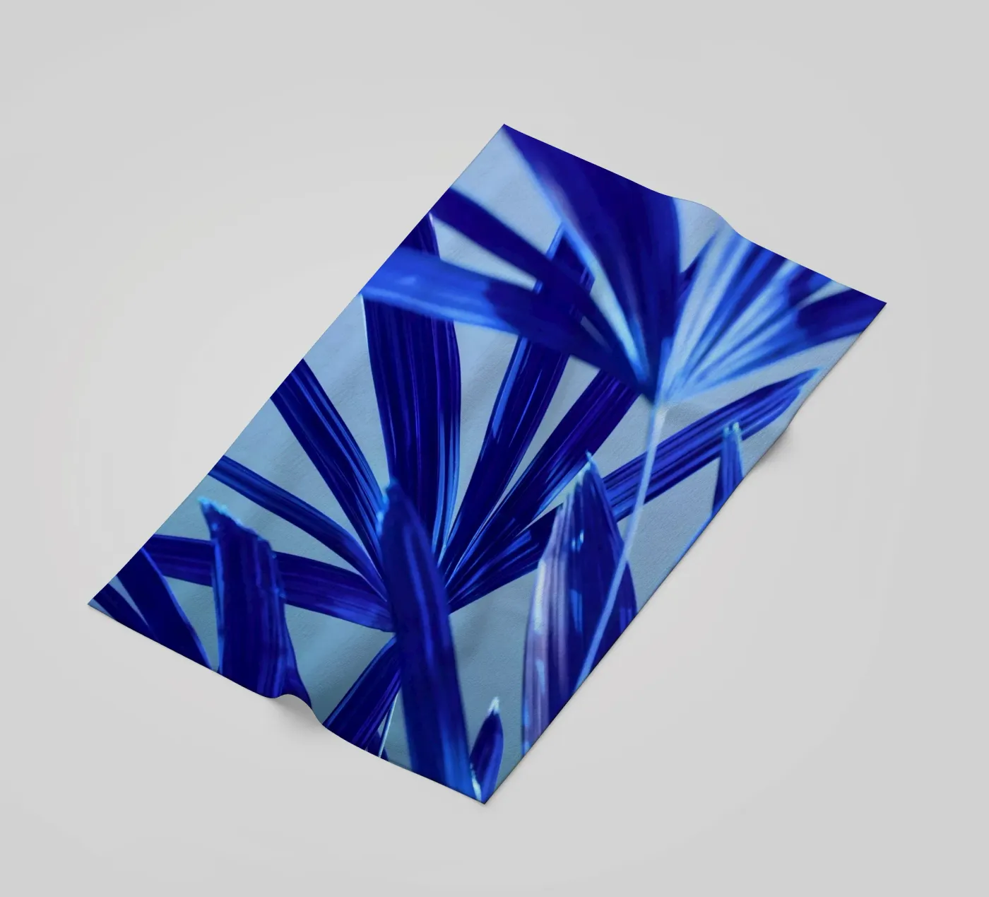 Flora 8 telo mare da rafael campezato