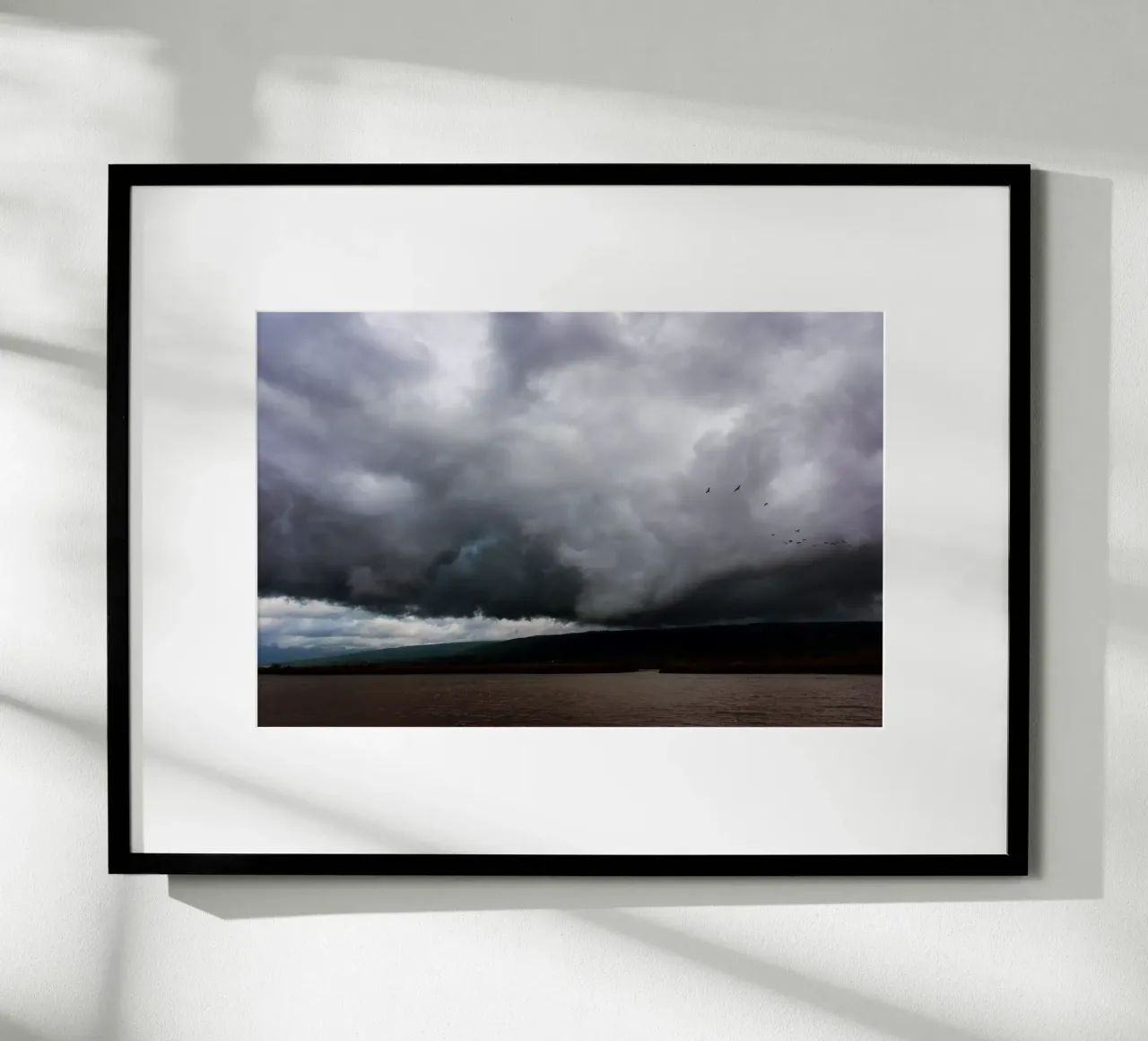 The Hula Valley #1 poster da Tal Paz-Fridman