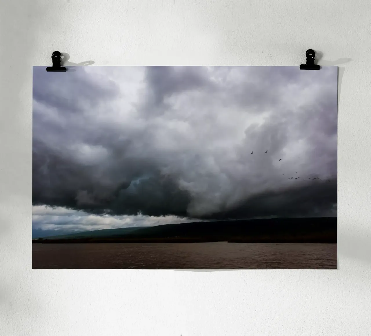 The Hula Valley #1 poster da Tal Paz-Fridman