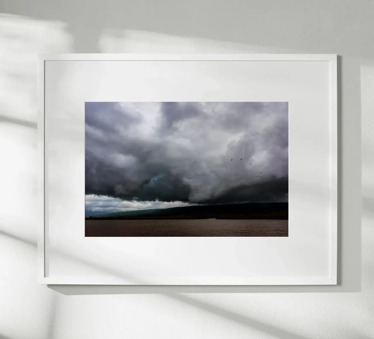 The Hula Valley #1 poster da Tal Paz-Fridman