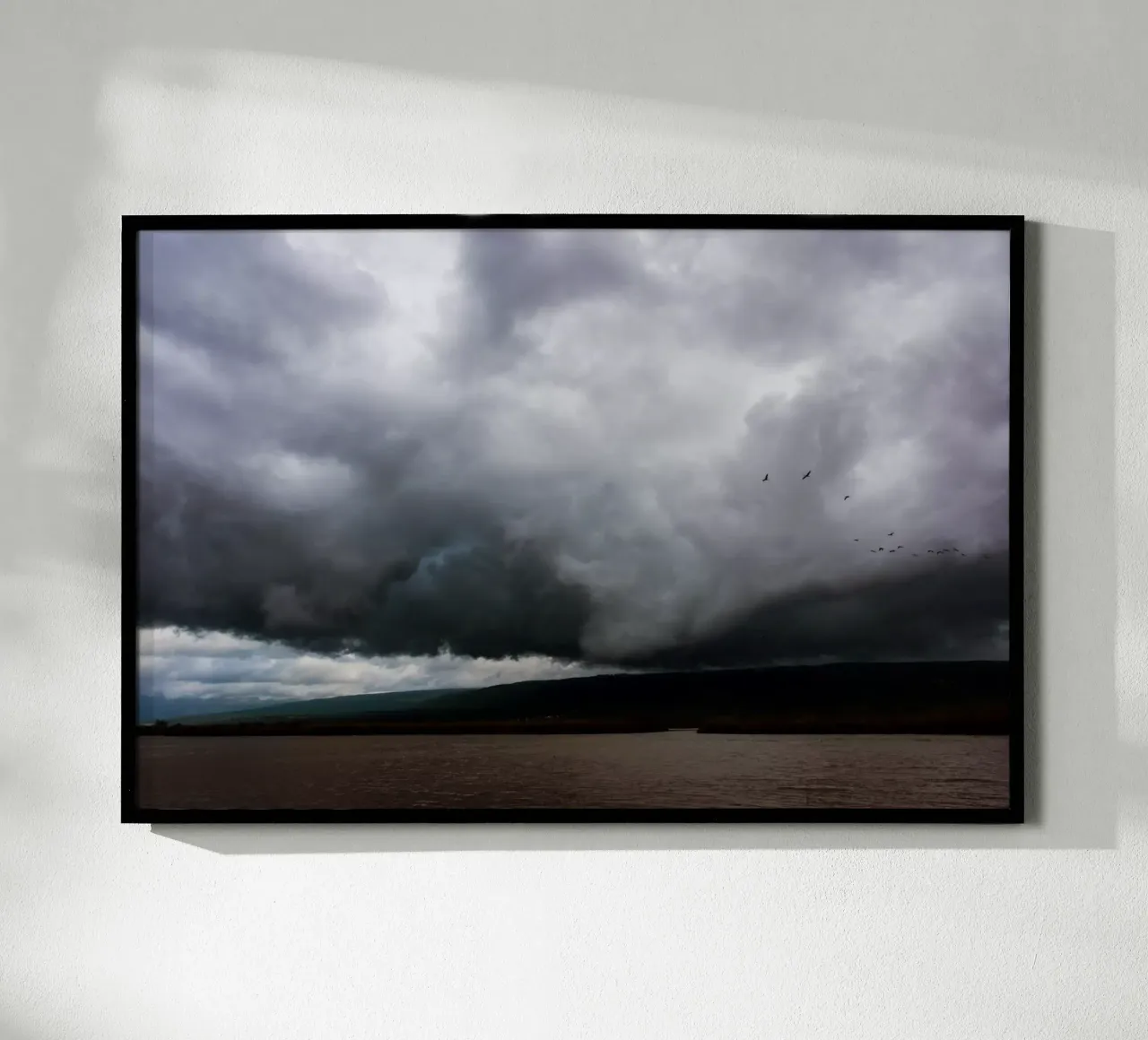 The Hula Valley #1 poster da Tal Paz-Fridman