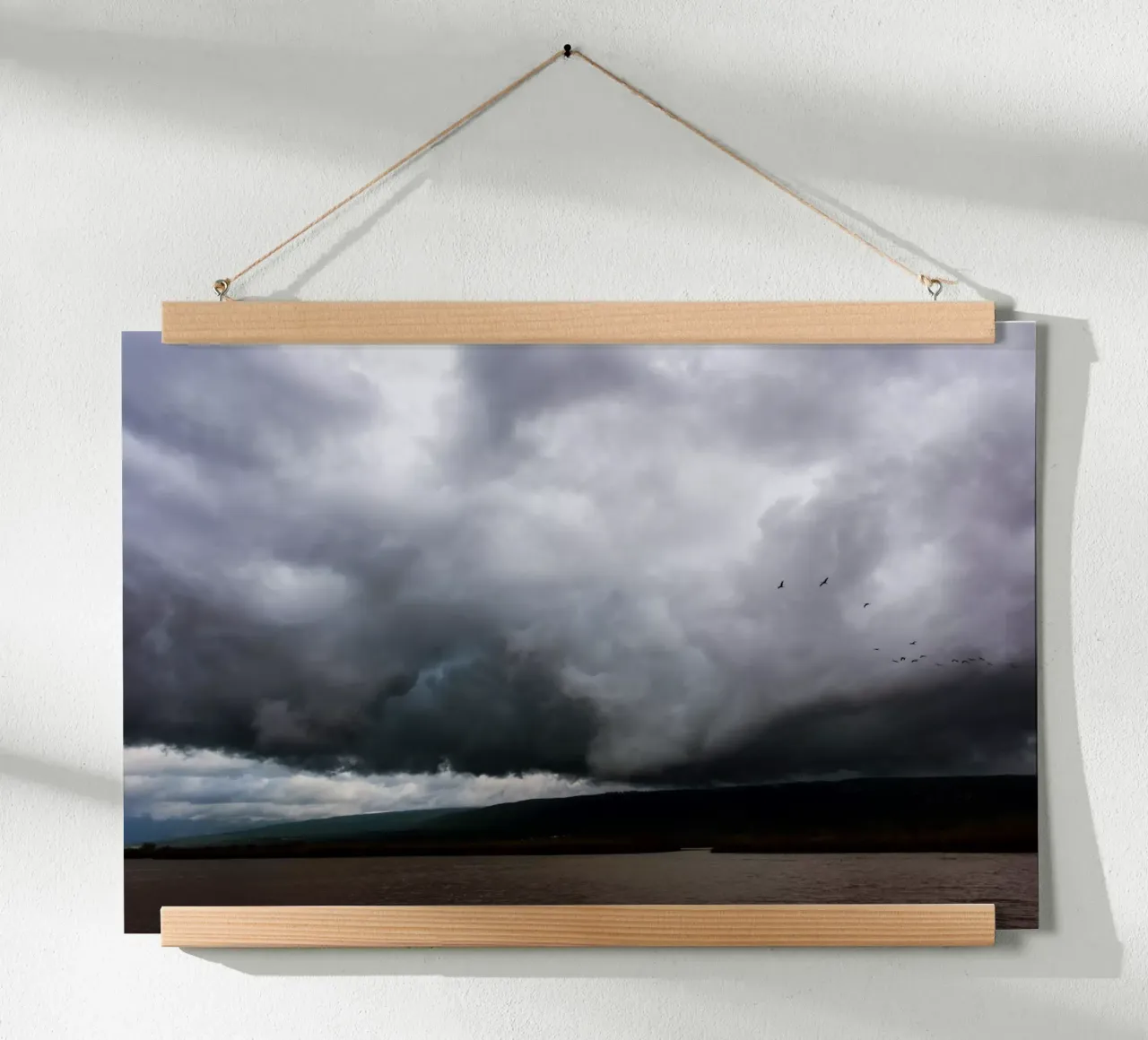 The Hula Valley #1 poster da Tal Paz-Fridman