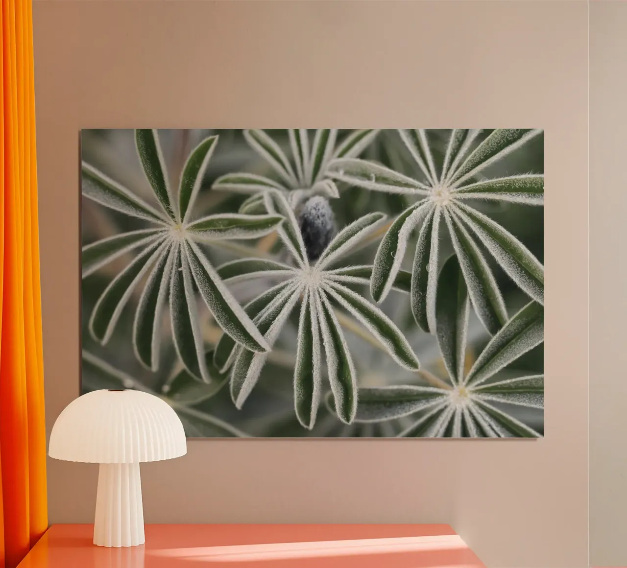 Lupino blu #7 poster con telaio in alluminio da Tal Paz-Fridman