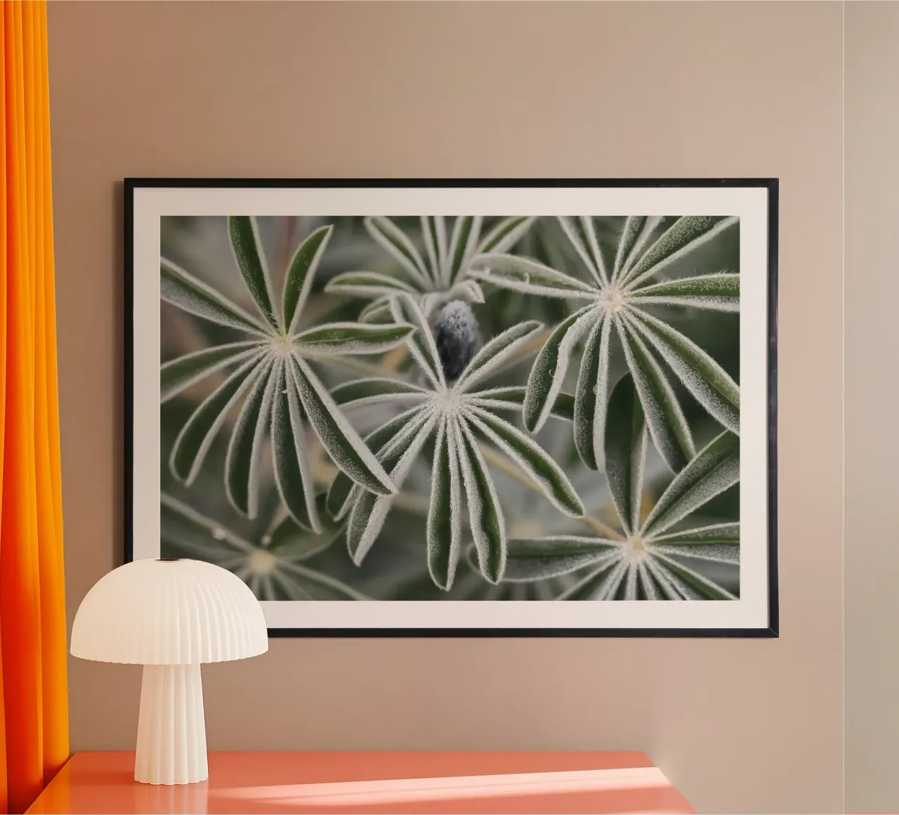 Lupino blu #7 poster con telaio in alluminio da Tal Paz-Fridman