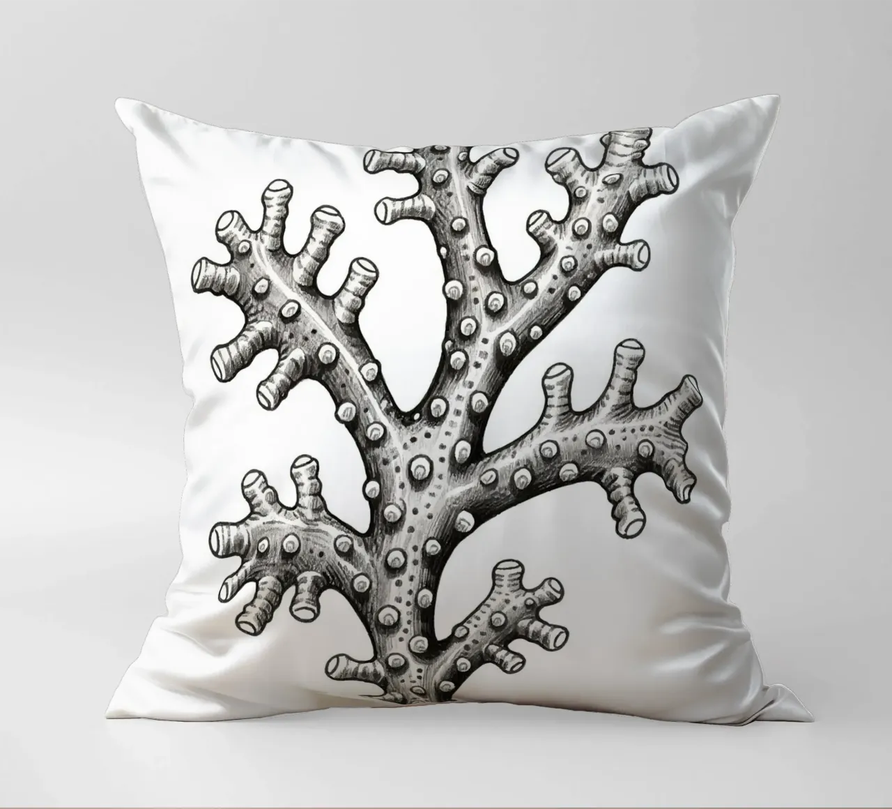 Barnacles cuscino da knowledge
