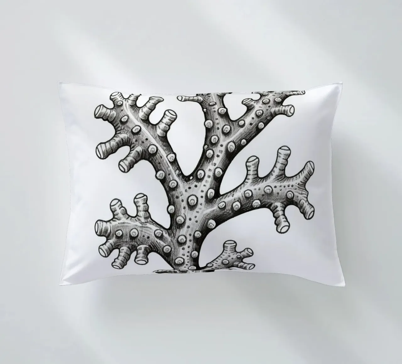Barnacles cuscino da knowledge
