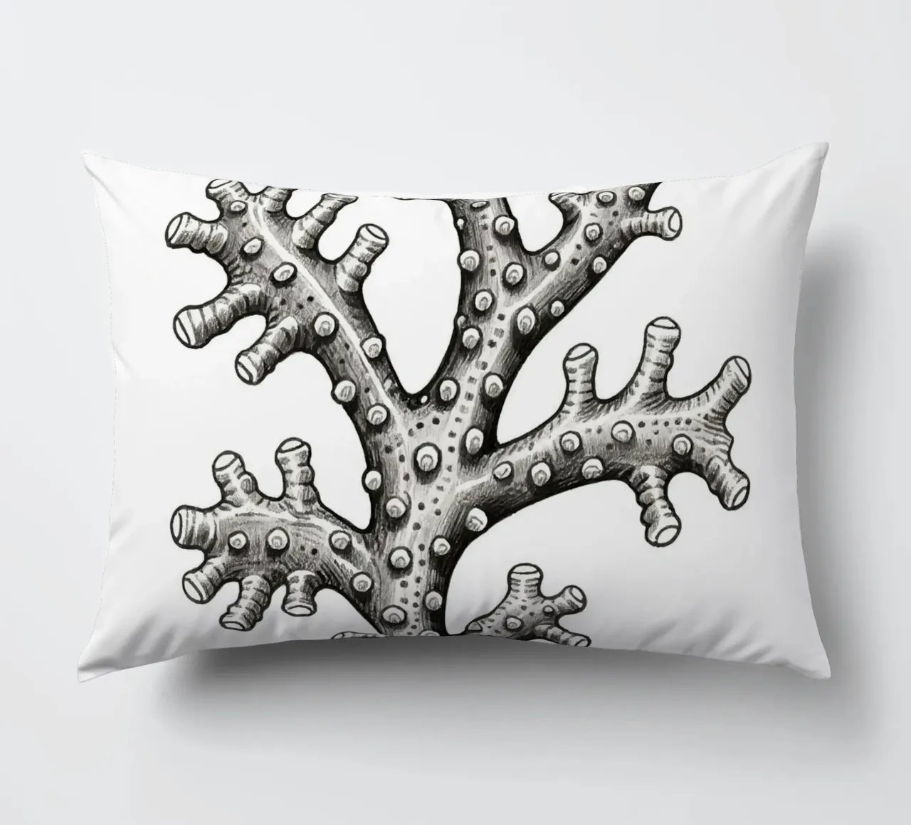 Barnacles cuscino da knowledge