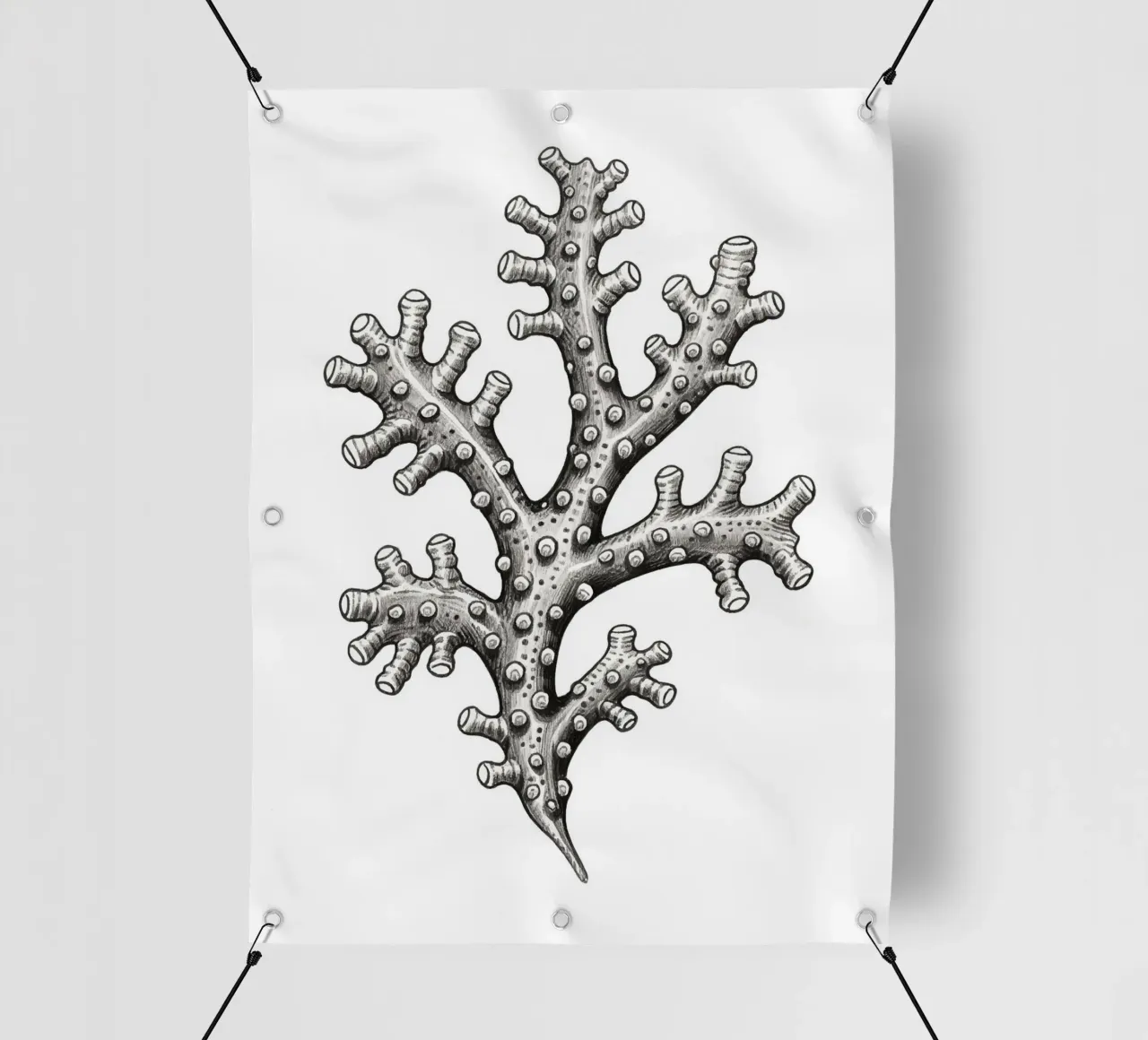 Barnacles telo in pvc da knowledge