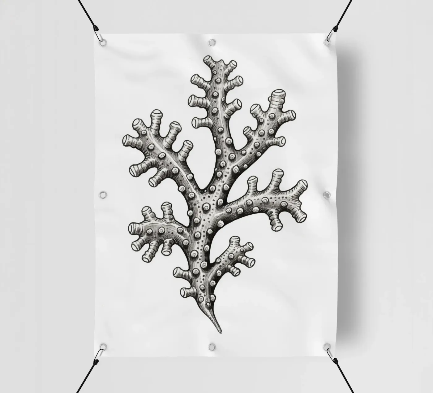 Barnacles telo in pvc da knowledge