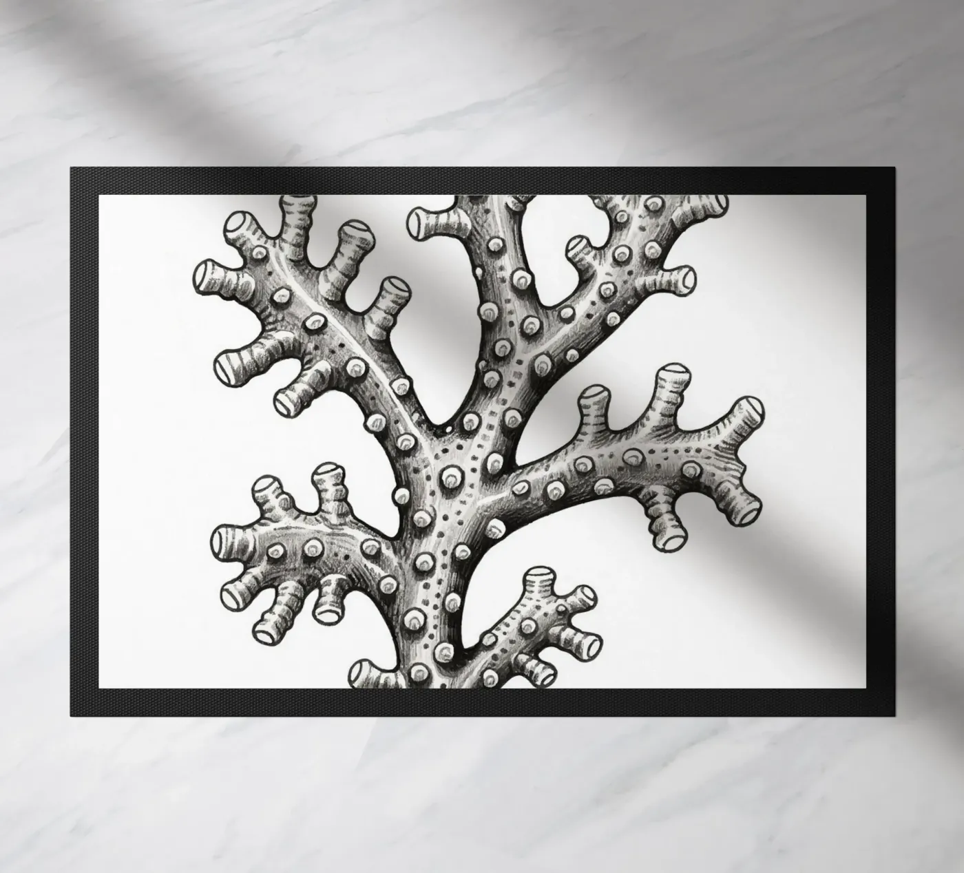 Barnacles zerbino da knowledge