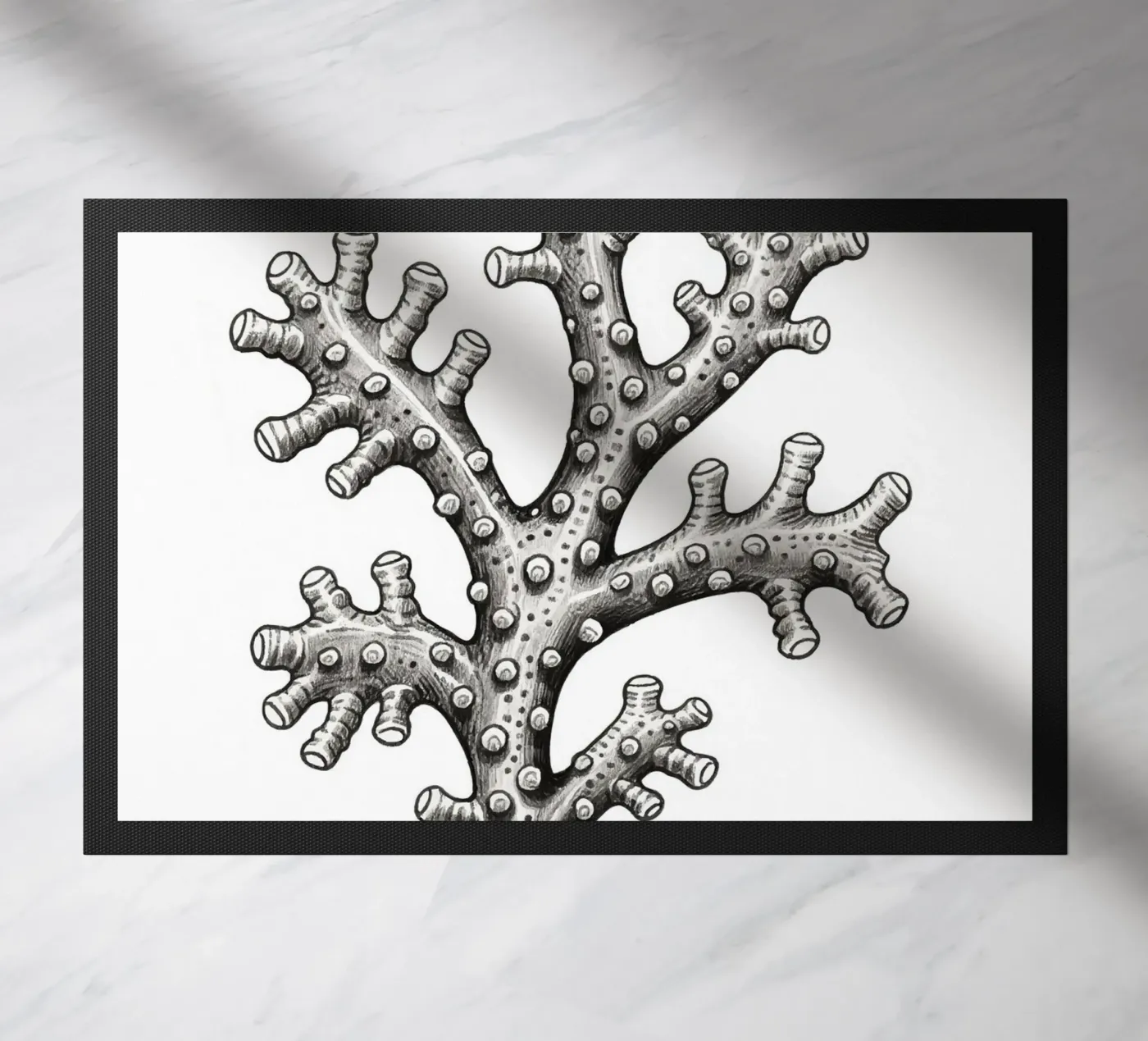 Barnacles zerbino da knowledge