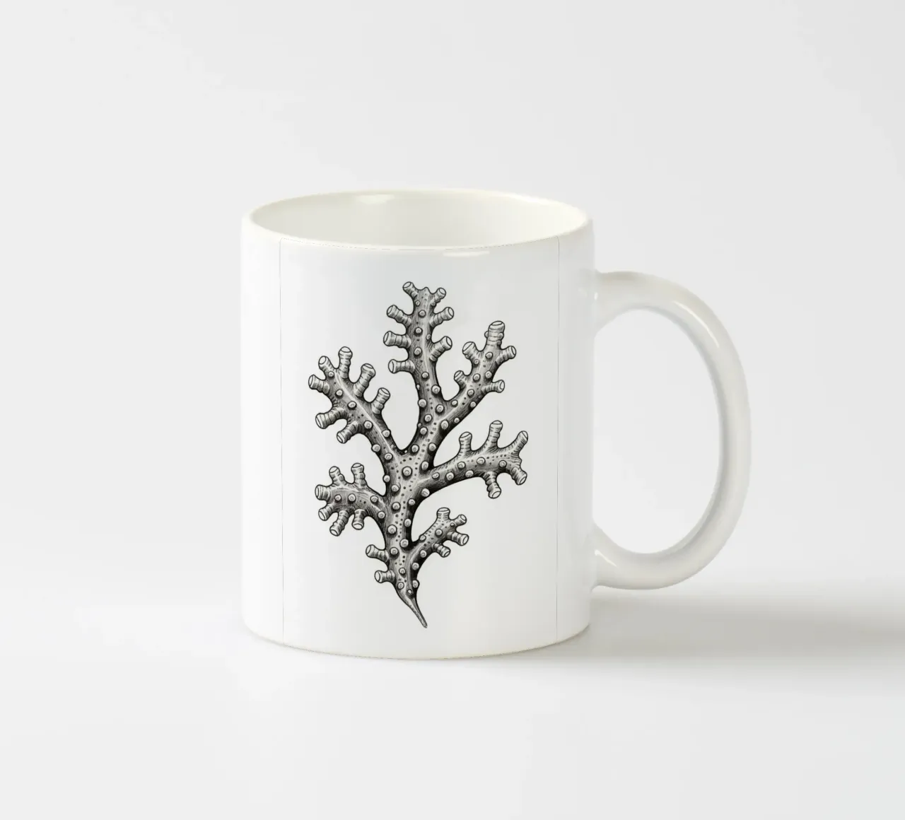 Barnacles tazza in ceramica da knowledge