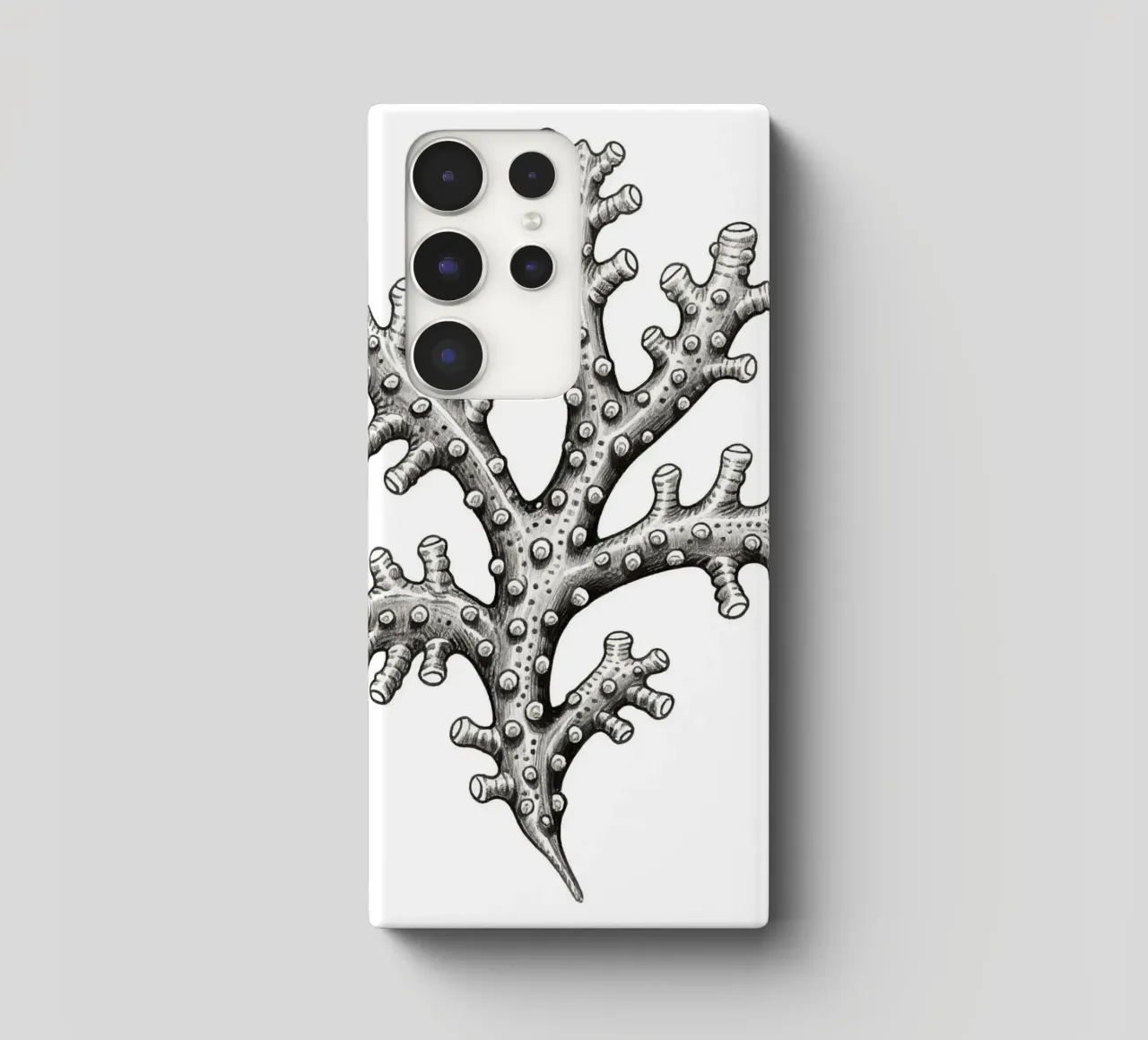 Barnacles cover samsung da knowledge