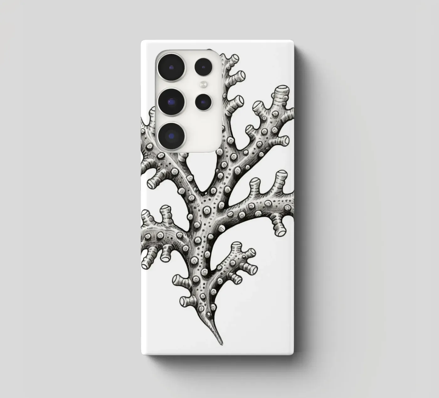 Barnacles cover samsung da knowledge