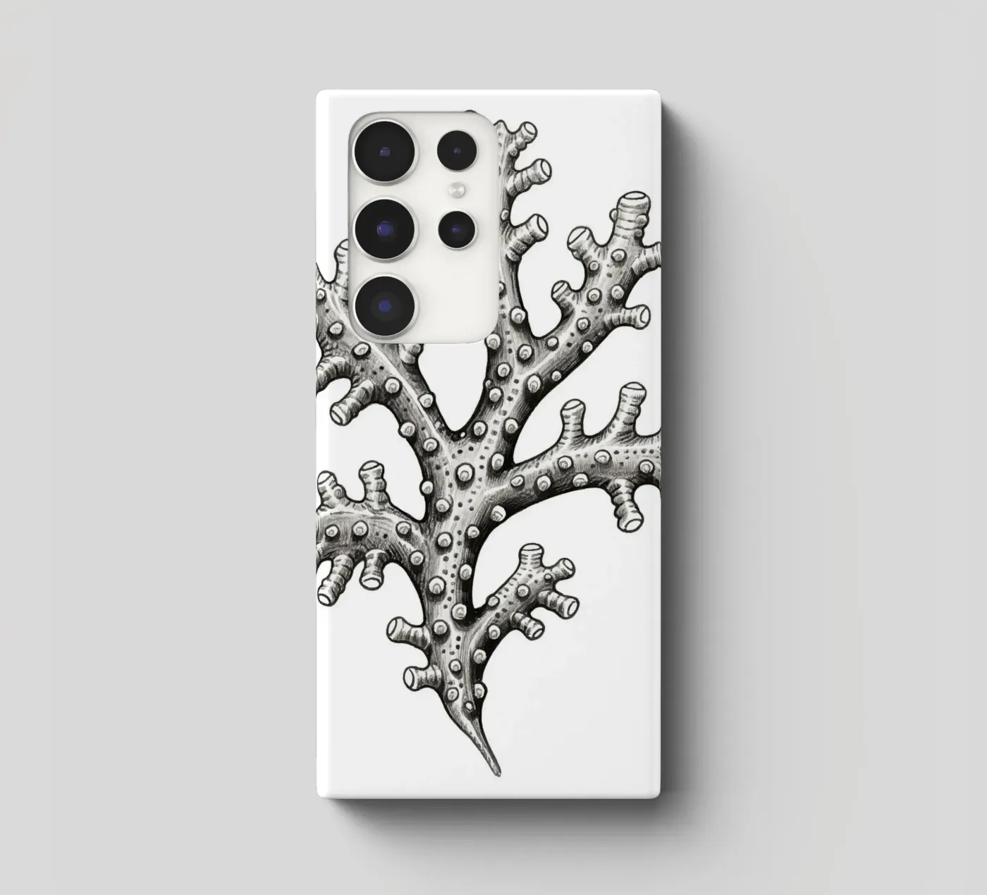 Barnacles cover samsung da knowledge