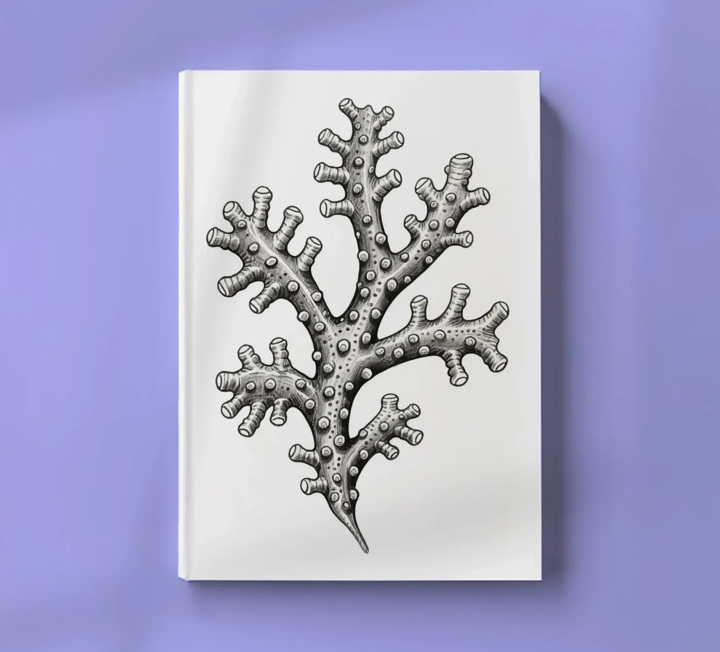 Barnacles notebook by knowledge