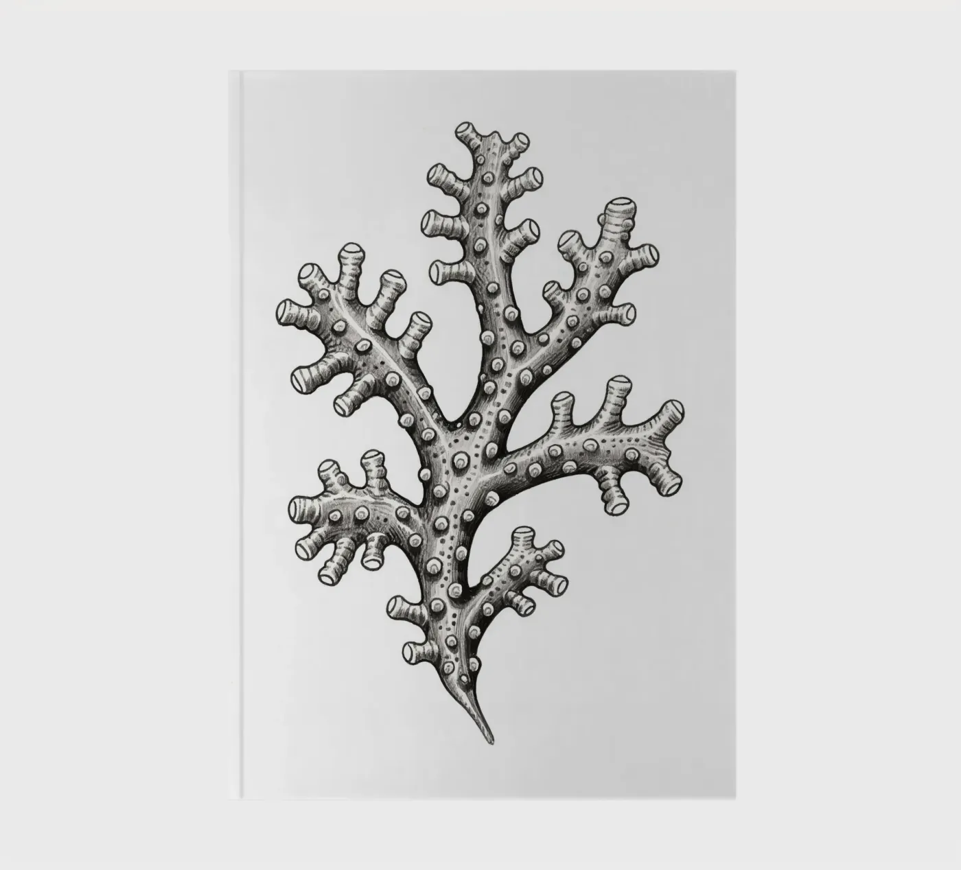 Barnacles notebook by knowledge
