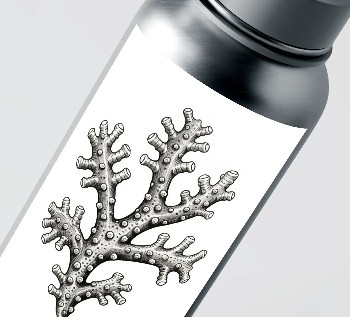 Barnacles adesivo da knowledge