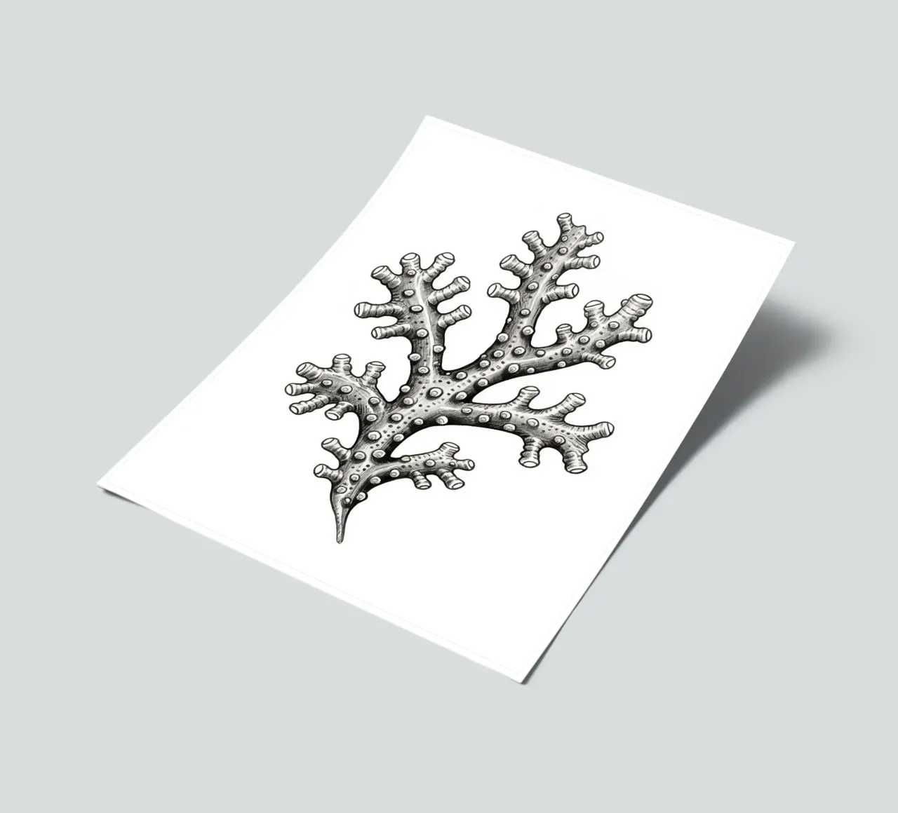 Barnacles sticker sheet by knowledge