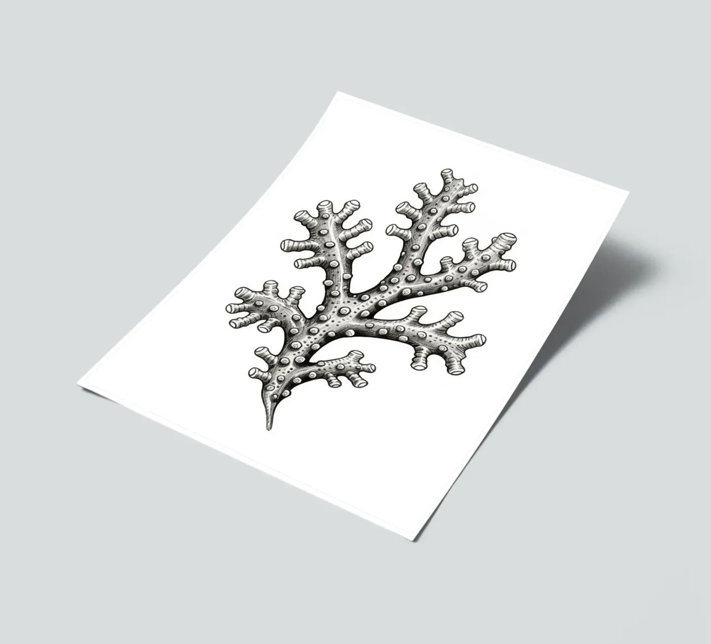 Barnacles sticker sheet by knowledge