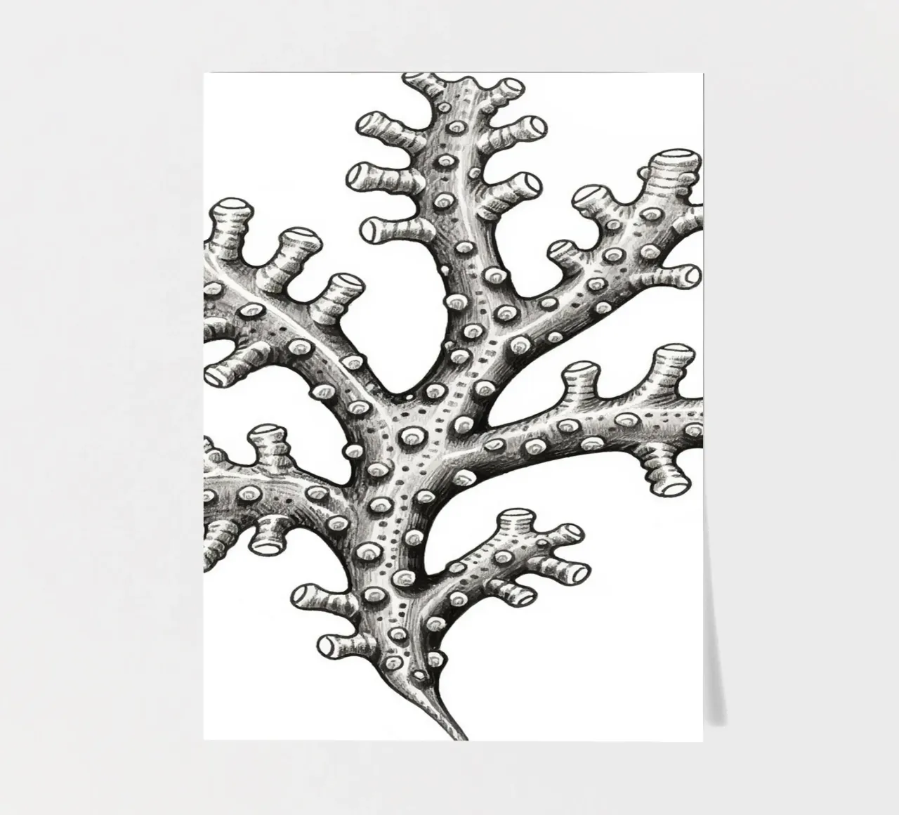 Barnacles sticker sheet by knowledge