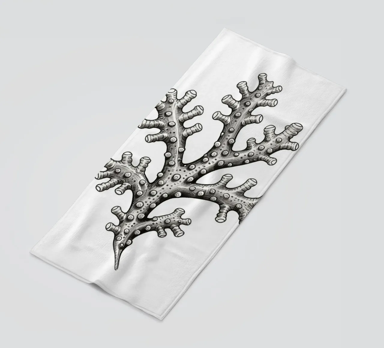 Barnacles telo mare da knowledge