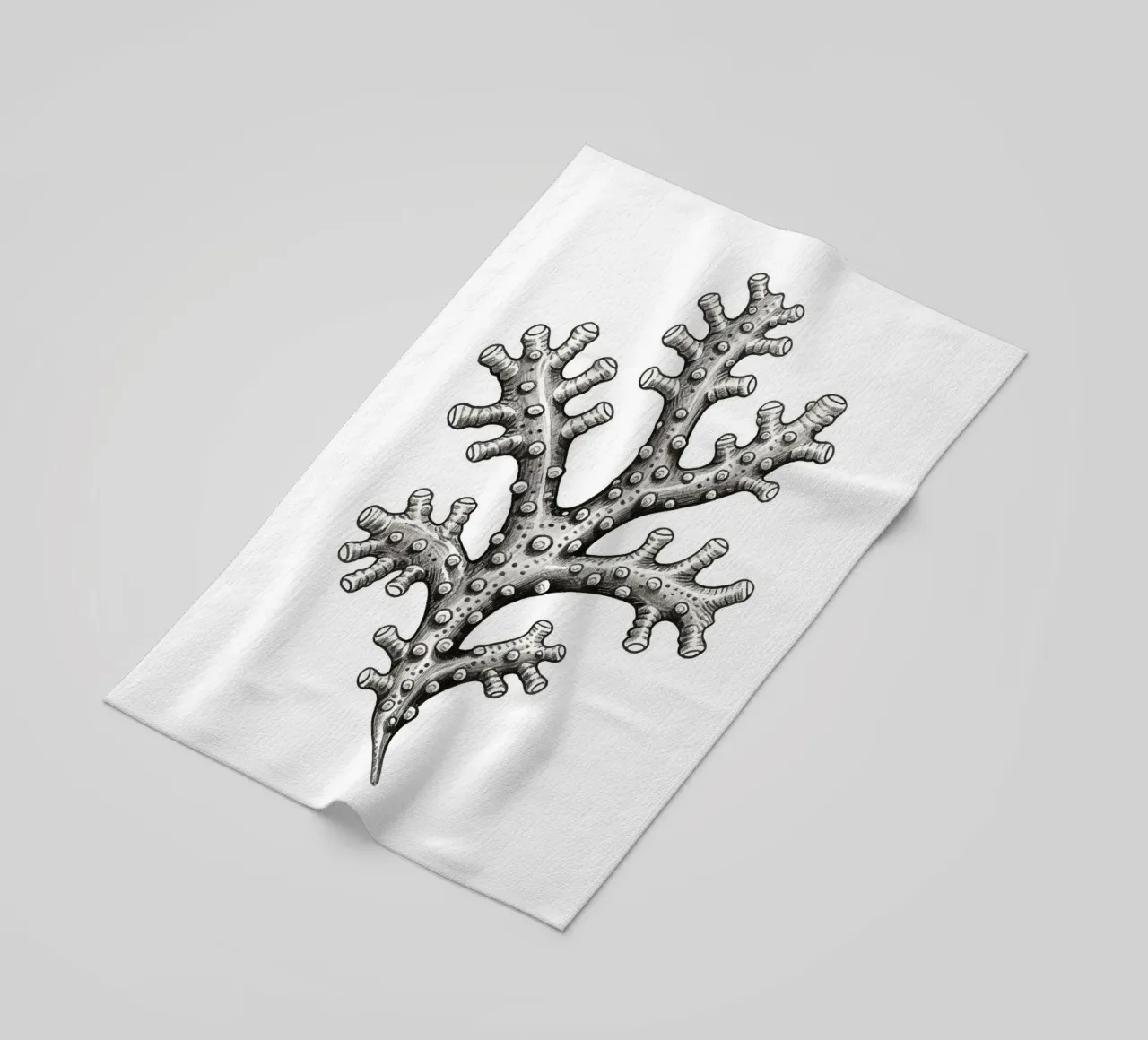 Barnacles telo mare da knowledge